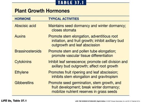 major plant hormones and their functions - Google Search | Biología, Química, Apuntes