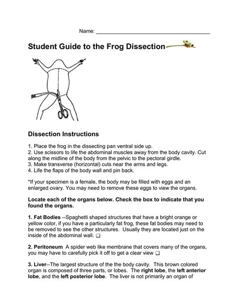 Frog Dissection Worksheet Answer Key – E Street Light