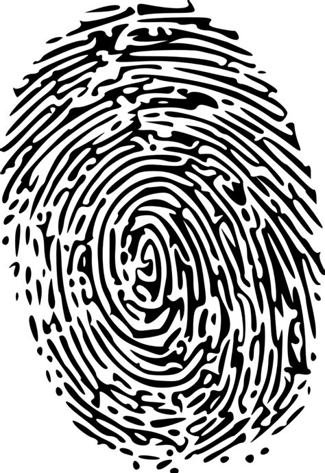Fingerprint scanner functionality - Botland