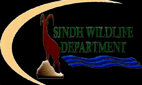 Sindh Wildlife DepartmentDaily Jasarat News