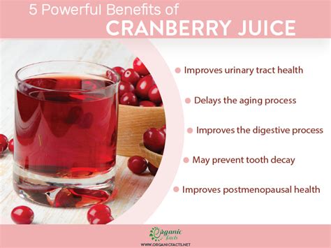 Cranberry Juice - Health Benefits, Uses & Side Effects | Organic Facts