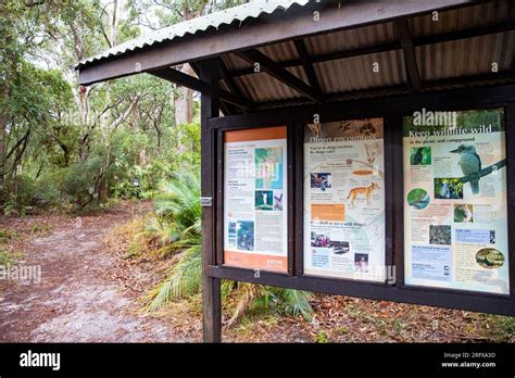 Lake Wabby on Fraser Island K'gari, tourist and visitor information board about the lake ...