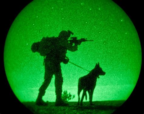 soldier dog-night vision | I've got your back (war dogs) | Pinterest