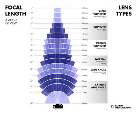 Understanding Different Types of Lenses (When to Use Which!)