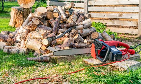 How Good Are Electric Chainsaws? | Best of Machinery