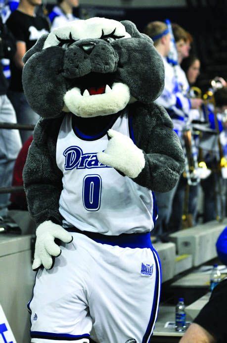 Drake Bulldogs mascot, Spike the Bulldog | Drake bulldogs, Bulldog ...