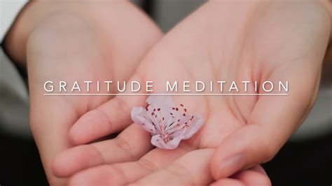 Gratitude Meditation - YouTube