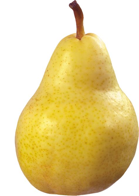 Pear HD PNG Transparent Pear HD.PNG Images. | PlusPNG