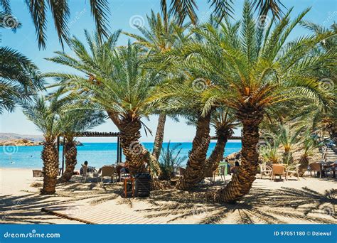 Famous Beach at Vai with Beautiful Palm Forest Stock Photo - Image of natural, pebbly: 97051180