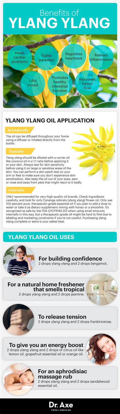 Ylang Ylang Benefits, Uses, Recipes and Side Effects – General Health ...