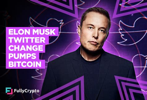 Elon Musk Twitter Bio Change Pumps Bitcoin