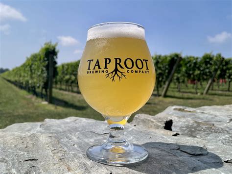 Taproot Brewing Co. Celebrates Five Years on June 21 | Brewbound