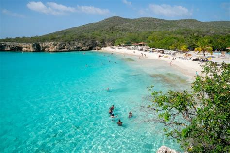 The 10 Best Places to Go Snorkeling in Curaçao | Celebrity Cruises