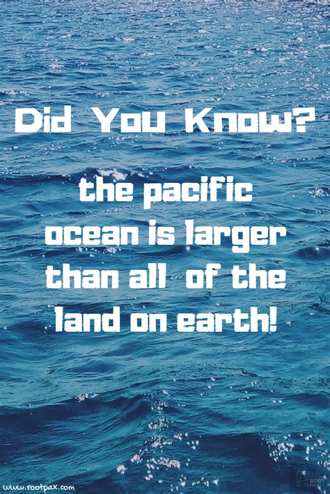 Pacific Ocean Animals Facts