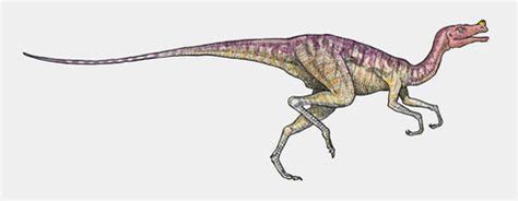 ORNITHOLESTES | ornitholestes ornitholestes tweet asset id 20115135 hi ...