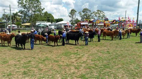 Murgon Show stud beef cattle judging results | Queensland Country Life | QLD