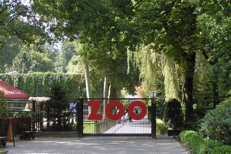 Tickets, Prices & Discounts - Krakow Zoo (Kraków)