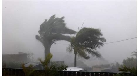 Mauritius Bracing For Tropical Cyclone Belal - UrduPoint