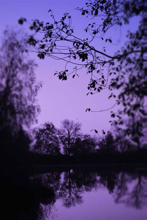 renamonkalou | Purple aesthetic, Aesthetic backgrounds, Dark purple aesthetic