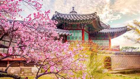 Changdeokgung Palace, Seoul - Book Tickets & Tours | GetYourGuide