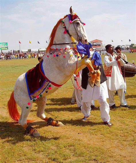 Horse Dancing and Acrobatics - Traditional Sports & Games Pakistan Association