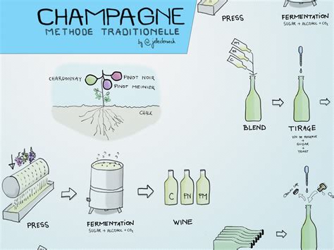 Where Do Champagne Bubbles Come From? | Wine Folly