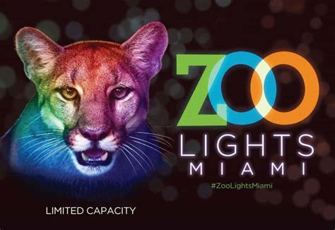 Zoo Lights Zoo Miami – 2021 – The Kid On The Go