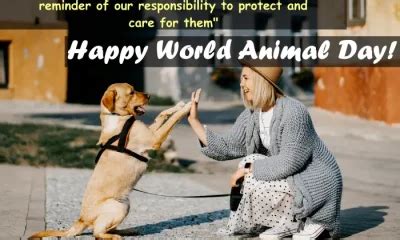 World animal day quotes - Smart Wish For You | Messages, Best Wishes ...