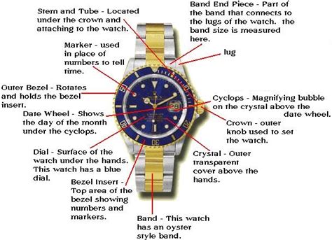 Best Automatic Watches [Comprehensive List] | Examined Living