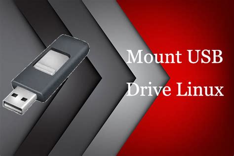 How to Mount a USB Drive in Linux Manually [2 Ways]