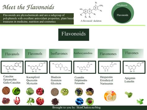 flavonoid infographic - Google Search