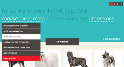 8 Dog Breed Selector Tools For Find Your Perfect Dog!