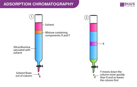 [DIAGRAM] Color Chromatography Diagram - MYDIAGRAM.ONLINE