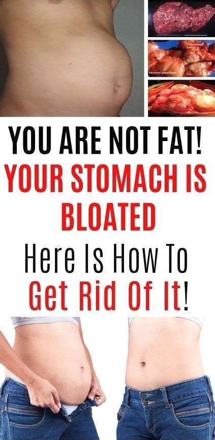 Lots of people really feel bloated after consuming a big meal. Nevertheless in 2020 | Bloating ...