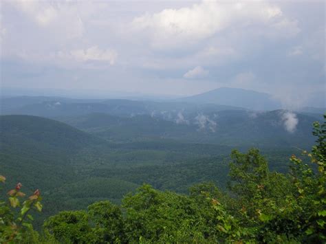 Ozark Mountain Forests | One Earth