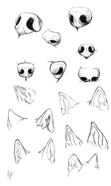 Esphir wolf nose study on DeviantArt - #deviantART #esphir #study - #new en 2020 (con imágenes ...