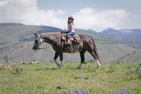 Luxury Dude Ranch Getaways in Colorado With Kids - The Points Guy