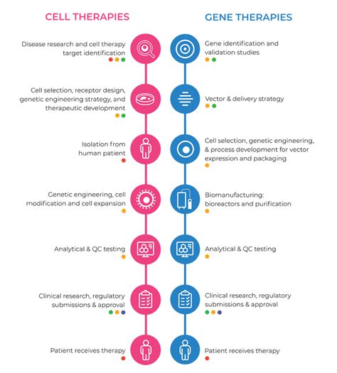 Cell & Gene Therapy Infographic | CG Life | Life Science and Healthcare ...