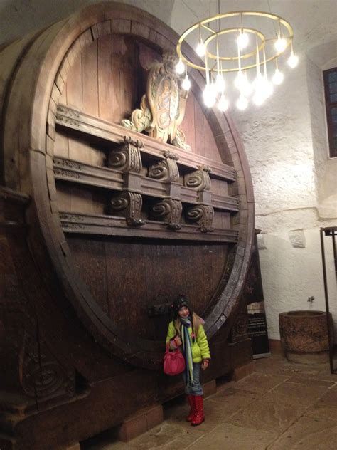 Heidleberg Castle wine cellar...this wasn't even the biggest cask there ...