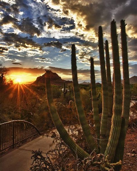 Want a true Phoenix experience? Make sure to catch one of our spectacular sunsets, which paint ...