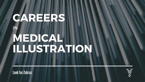 Medical illustrator career guide - Look for Zebras