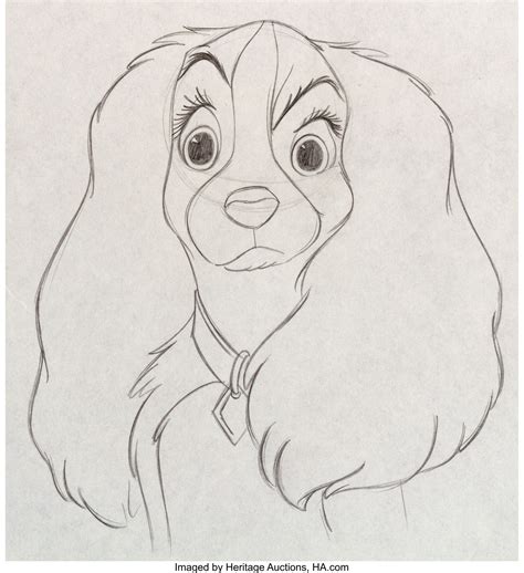 Lady and the Tramp Lady Animation Drawing (Walt Disney, 1955 ...