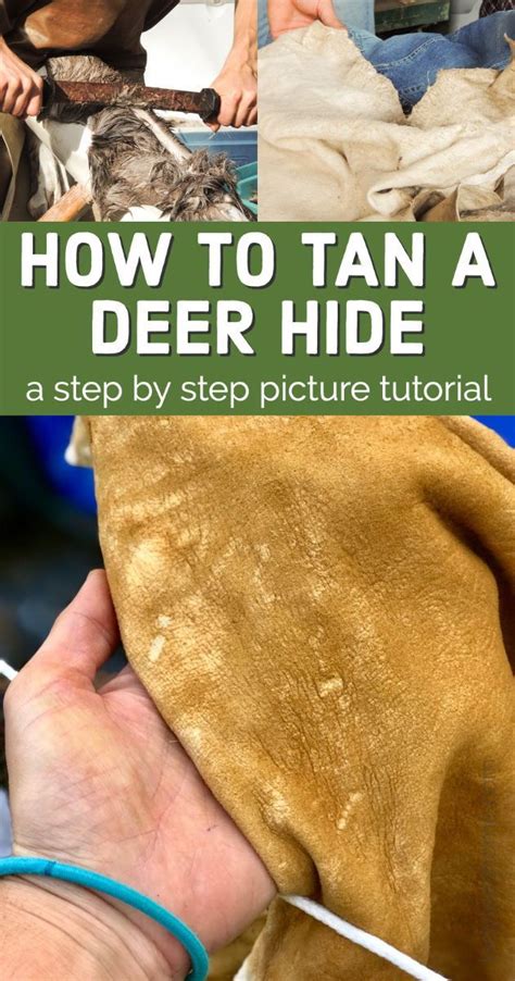 How to Tan a Deer Hide | How to tan, Deer hide, Tanning deer hide