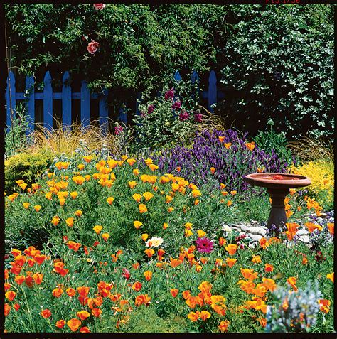 Use our planting and design tips to create your own cottage garden with a Western twist - Sunset ...