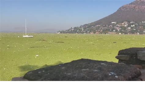 Eww! Why are parts of Hartbeespoort Dam now turning GREEN?