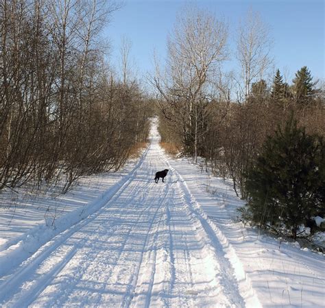 Hiking in Maine with Kelley: 1/3/13 Snowmobile Trail