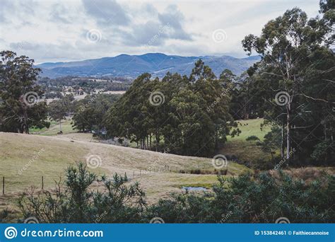 Australian Countryside Landscape in Winter Stock Image - Image of ...