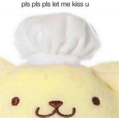 a teddy bear with a chef's hat on it's head and the caption reads, plis plis plis pls let me kiss u