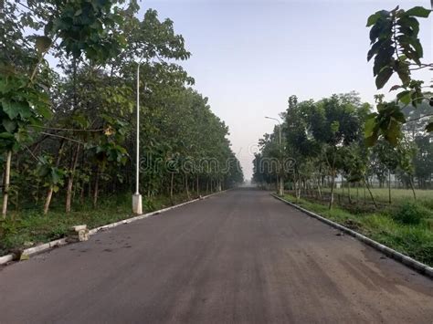 Good Road in Al Zaytun Campus Indramayu Stock Image - Image of school, tree: 243624577