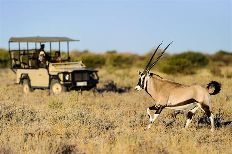 Tailor Made Kalahari Safari Holidays in Botswana | Far and Wild Travel